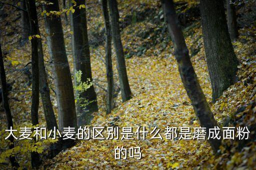 大麦和小麦的区别是什么都是磨成面粉的吗