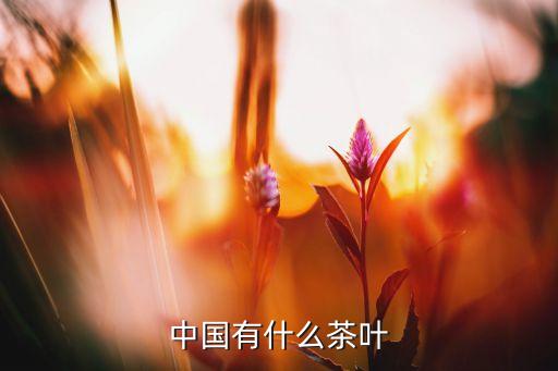 中国有什么茶叶