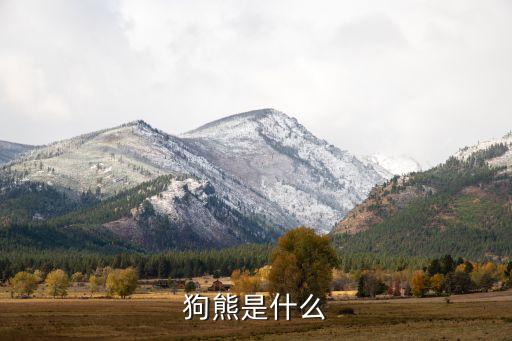 狗熊是什么