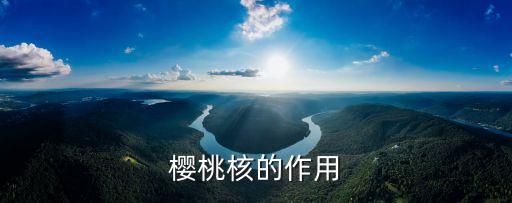 樱桃核的作用