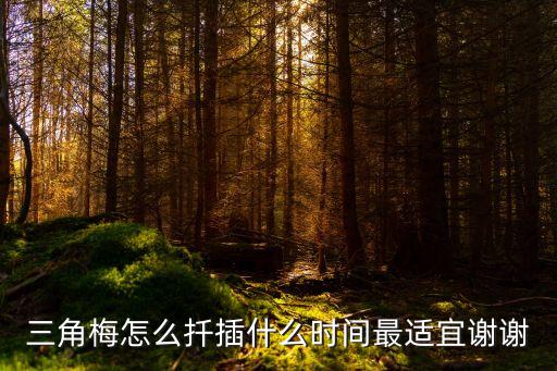 三角梅怎么扦插什么时间最适宜谢谢