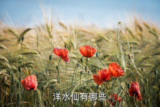 洋水仙，洋水仙的花语和别名