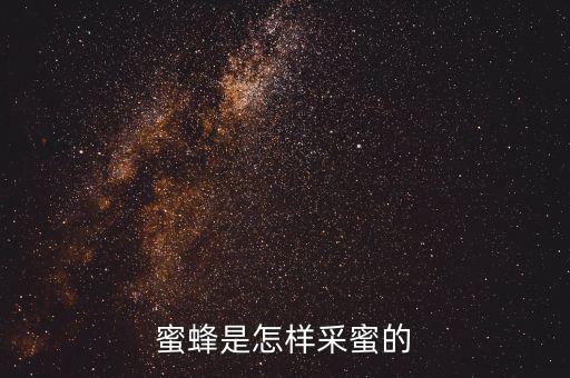 蜜蜂如何采蜜酿蜜，蜜蜂是怎么酿蜜的