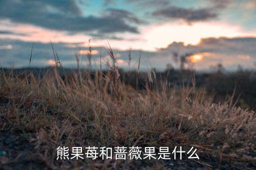 蔷薇果，熊果苺和蔷薇果是什么