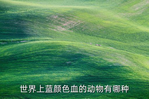 蓝血动物，什么动物血是蓝的