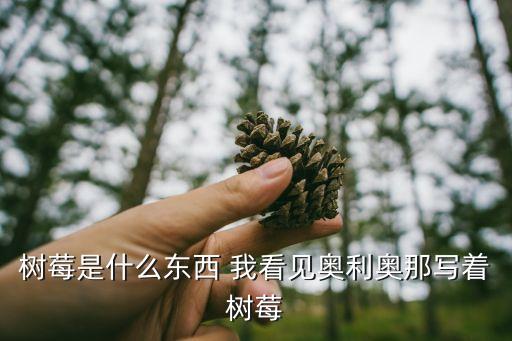 树莓是什么水果，树莓是什么水果