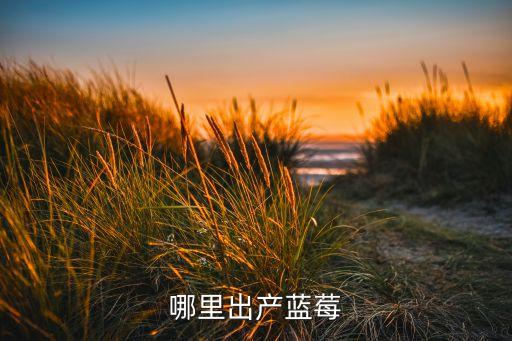蓝莓产地，蓝莓生长在我国什么地区