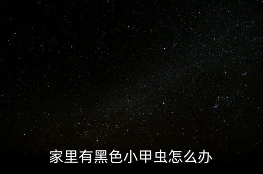 黑色小虫，像芝麻大小黑色的虫子