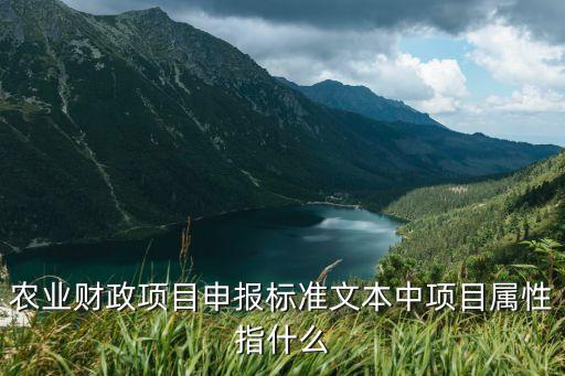 农业财政项目申报标准文本中项目属性指什么