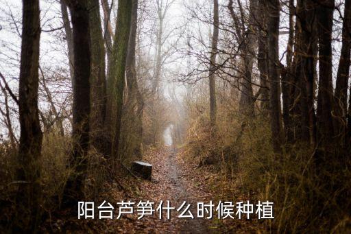 芦笋种植时间和方法，阳台芦笋什么时候种植