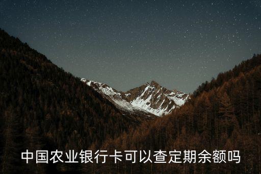 中国农业银行卡可以查定期余额吗