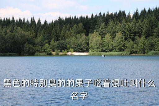 黑色的特别臭的的果子吃着想吐叫什么名字
