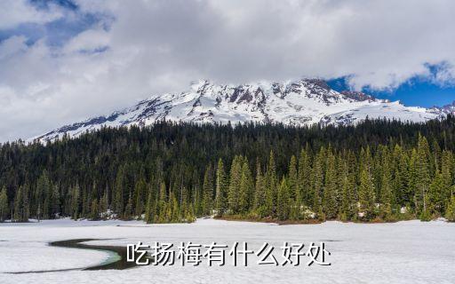 杨梅的好处，杨梅的功效