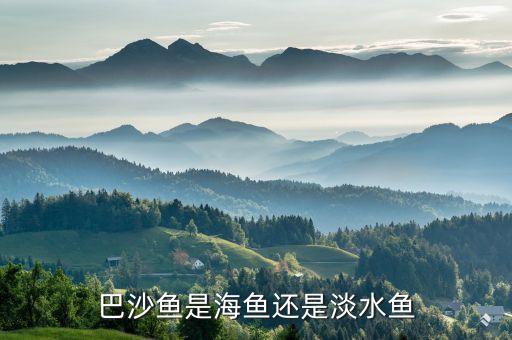 巴沙鱼是海鱼吗，越南巴沙鱼柳是海鱼还是河鱼