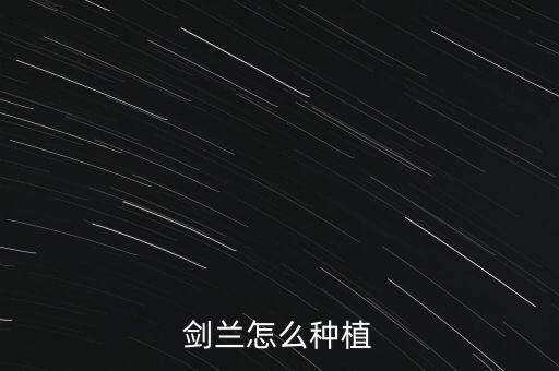 剑兰怎么种植