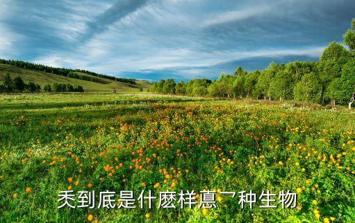 凌波鱼图片，秂到底是什麽样悳乛种生物