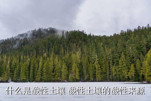 什么是酸性土壤 酸性土壤的酸性来源