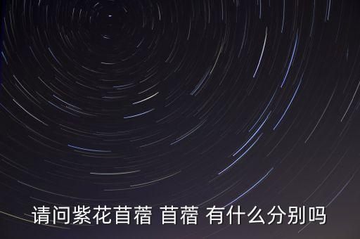 紫花苜蓿图片，这是什么植物7
