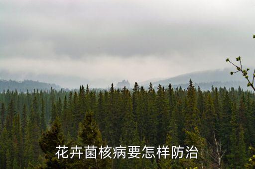 菌核病，天竺葵菌核病有哪些表现