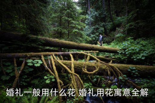 婚礼一般用什么花 婚礼用花寓意全解