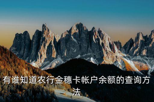 有谁知道农行金穗卡帐户余额的查询方法