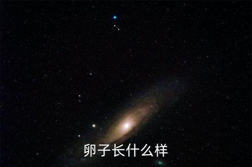 卵是什么样子的，卵子是什么样的
