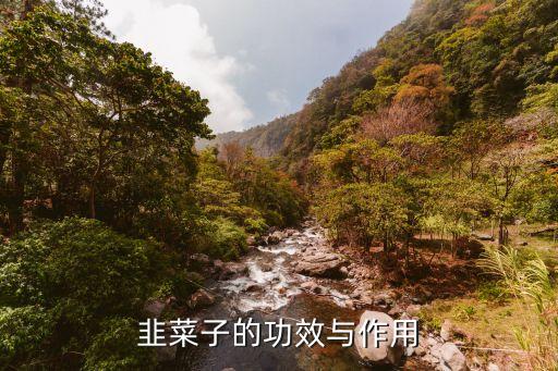 韭菜子的功效与作用