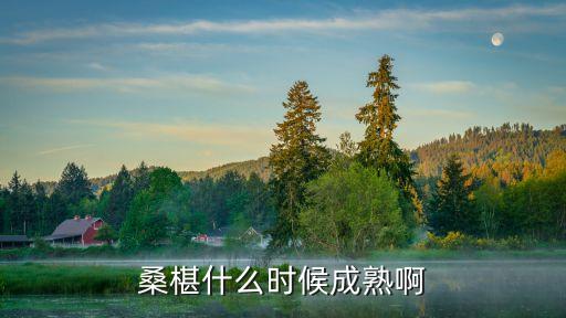桑椹什么时候成熟啊