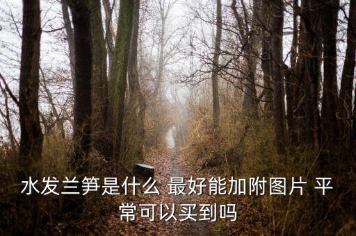 水竹笋图片，水发兰笋是什么 最好能加附图片 平常可以买到吗