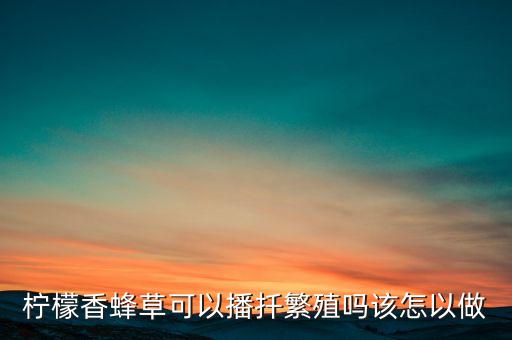 柠檬香蜂草可以播扦繁殖吗该怎以做