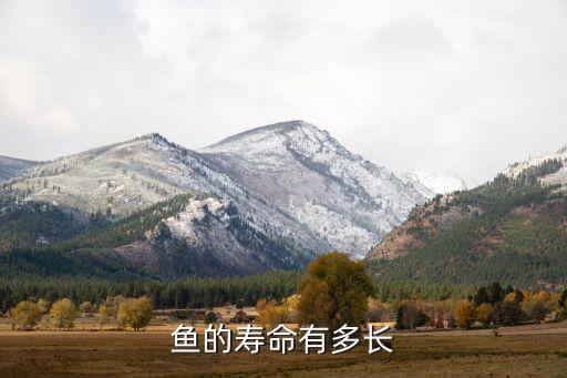 鱼的寿命有多长，鱼的寿命有多长