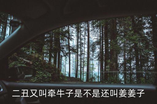 黑丑别名，二丑又叫牵牛子是不是还叫姜姜子