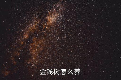 金钱树的养殖方法和注意事项，如何养金钱树