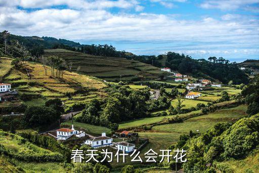 春天为什么会开花
