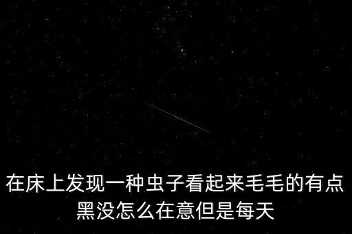 皮蠹，请问这是什么虫子