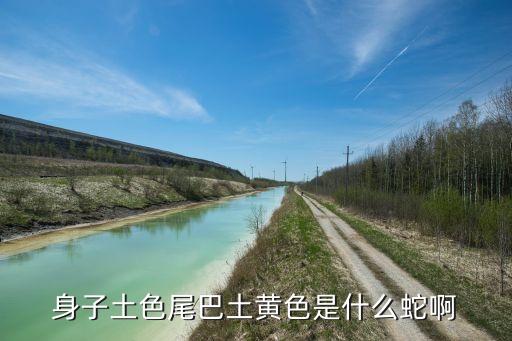 土蛇图片，身子土色尾巴土黄色是什么蛇啊