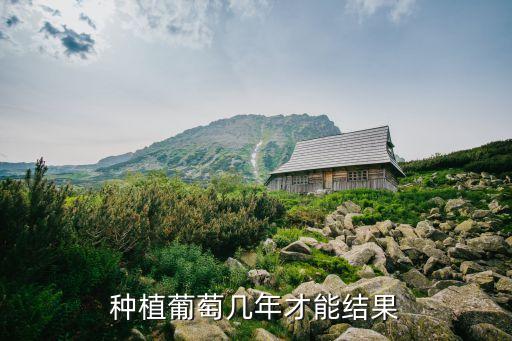 葡萄什么时候结果，种植葡萄几年才能结果