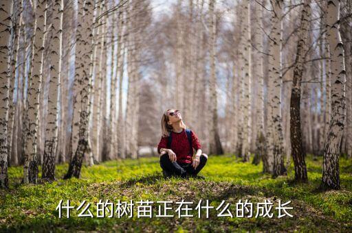 什么的树苗正在什么的成长