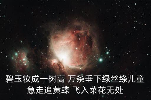 碧玉妆成一树高 万条垂下绿丝绦儿童急走追黄蝶 飞入菜花无处