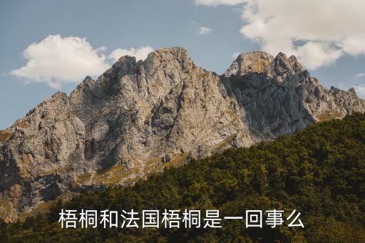 中国梧桐树，中国梧桐和法国梧桐是同科植物么