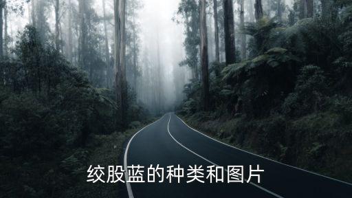 节骨草图片，绞股蓝的种类和图片