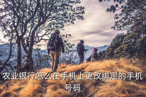 智能农业怎么改变用户，农业银行手机银行怎么更改默认账户