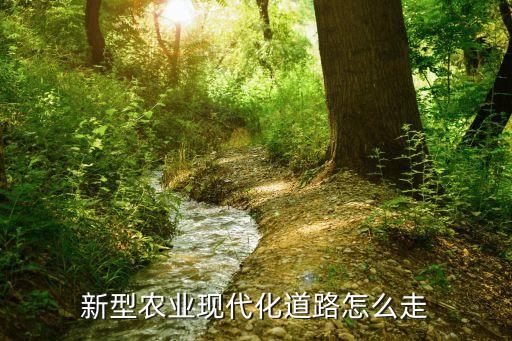 高效农业路线怎么走，新型农业现代化道路怎么走