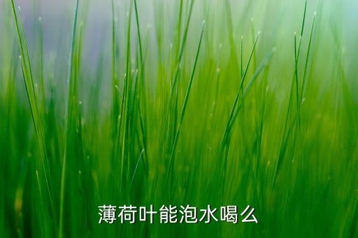 薄荷可以泡水喝吗，薄荷叶能泡水喝么