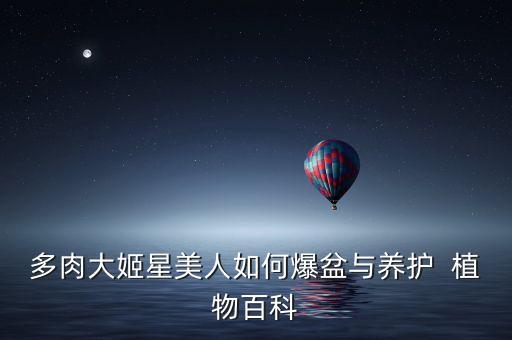 姬星美人，多肉大姬星美人如何爆盆与养护  植物百科