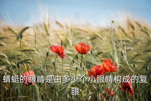 蜻蜓的眼睛是由多少个小眼睛构成的复眼