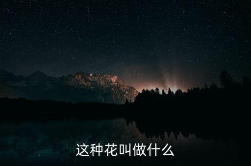 虎刺花，虎刺花放卧室里有没有害