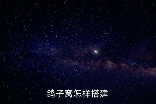 鸽子窝怎样搭建