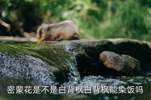密蒙花是不是白背枫白背枫能染饭吗