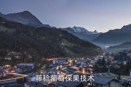 日本葡萄，大泽山的葡萄为什么那么出名